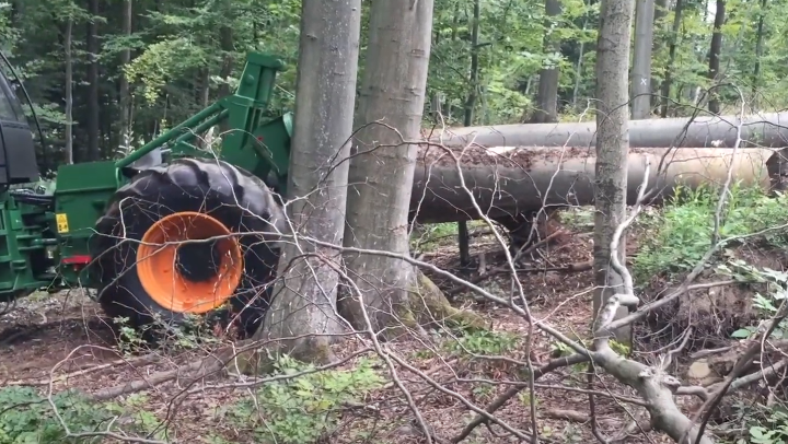 Трелевочная машина Амкодор 2242